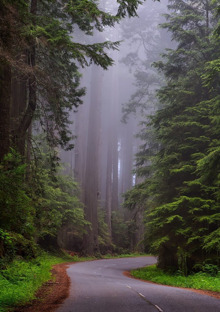 What the Government Shutdown Means for the National Parks