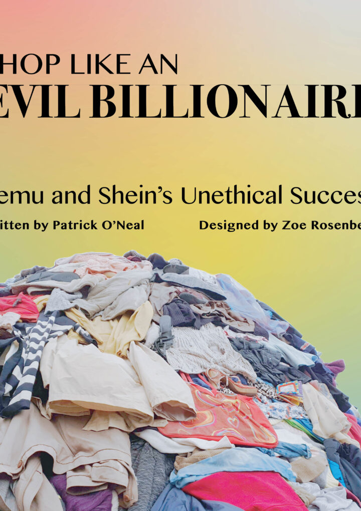 Shop like an Evil Billionaire: Temu and Shein’s Unethical Success