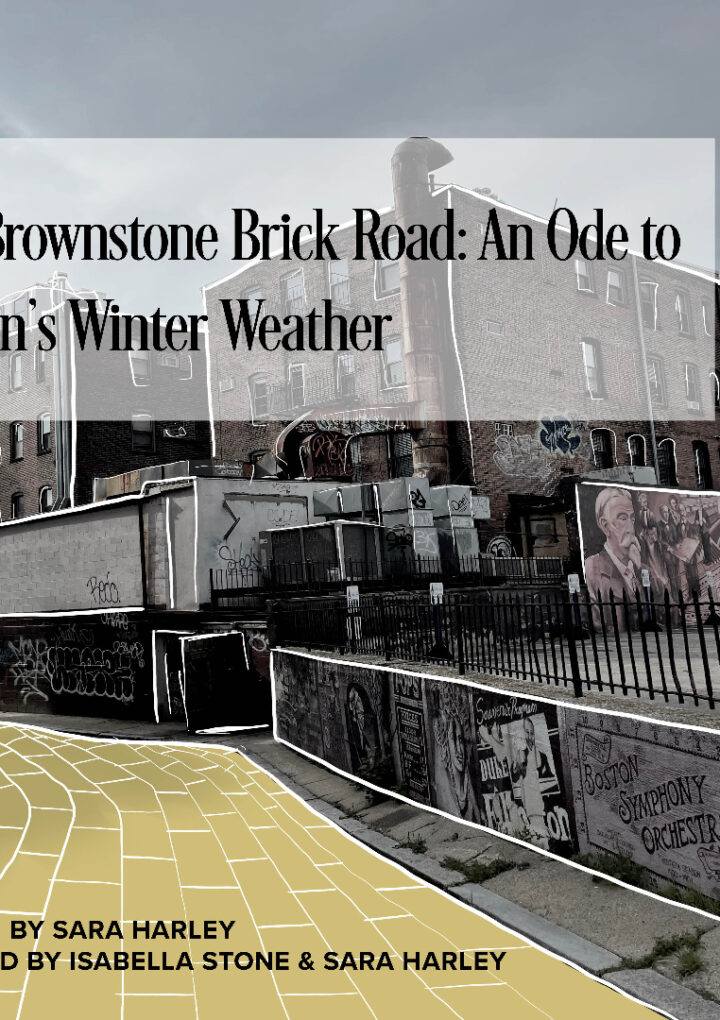 The Brownstone Brick Road: An Ode to Boston’s Winter Weather