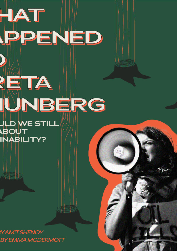 What happened to Greta Thunberg, and should we still care about sustainability?