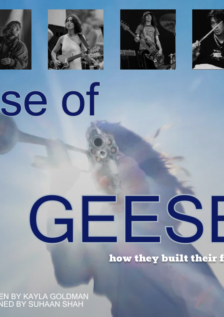 The Rise of Geese: How They Built Their Flock